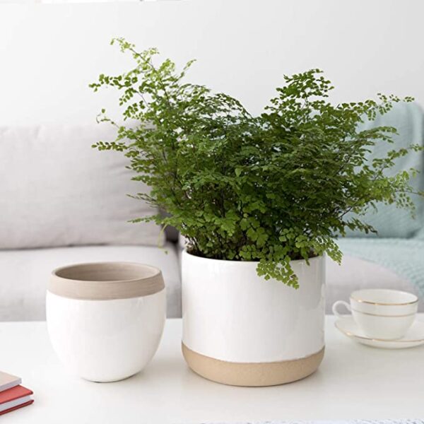 White Ceramic Flower Plant Pots - Image 2