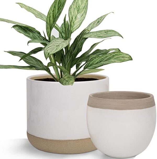 White Ceramic Flower Plant Pots